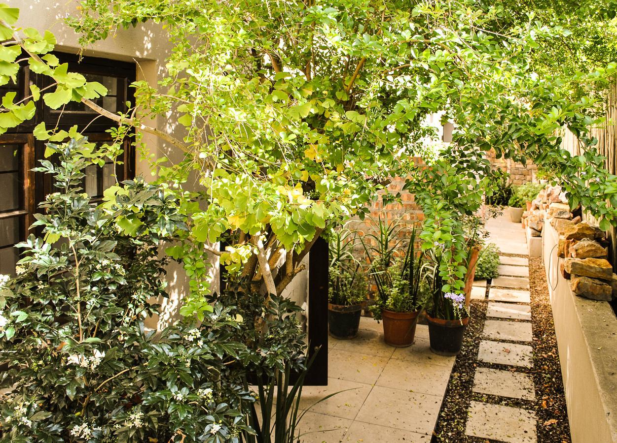 Wessels House Studio Kapstadt Exterior foto